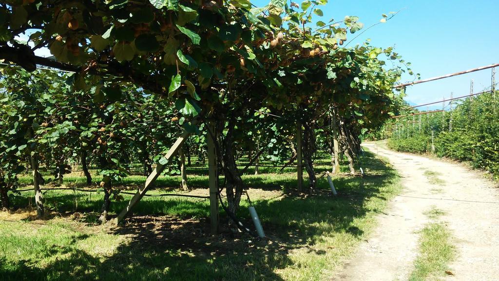 Agriturismo B&B Corte Tonolli Valeggio sul Mincio Bagian luar foto