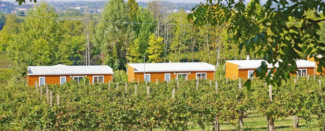 Agriturismo B&B Corte Tonolli Valeggio sul Mincio Bagian luar foto